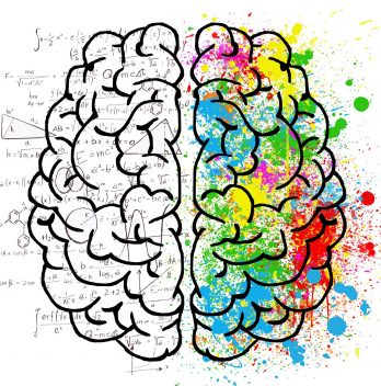 Virtudes de la Memorización: Beneficios Cerebrales Comprobados