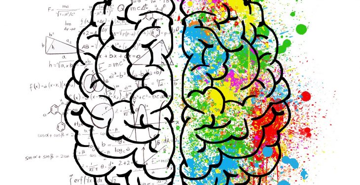 Virtudes de la Memorización: Beneficios Cerebrales Comprobados